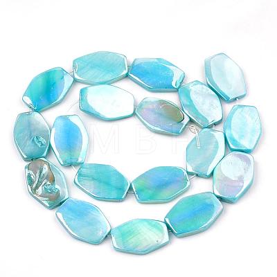AB Color Freshwater Shell Bead Strands SHEL-T009-04-1