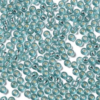 Glass Seed Beads SEED-H002-C-A049-1