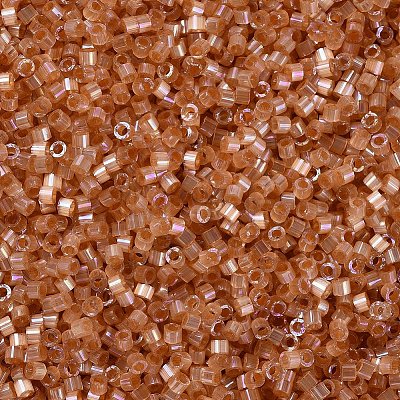 MIYUKI Delica Beads X-SEED-J020-DB1864-1