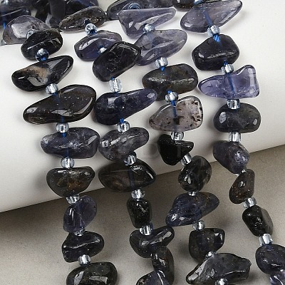 Natural Iolite Beads Strands G-L657-E04-01-1