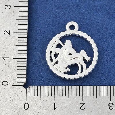 Twelve Constellations Alloy Pendants PALLOY-Q006-01D-S-1