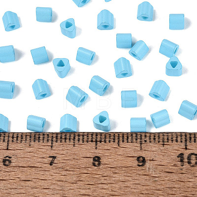 FGB Baking Paint Glass Seed Beads SEED-Q040-09A-14-1