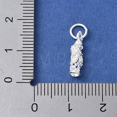 925 Sterling Silver 3D Chinese Zodiac Charms STER-P066-01S-05-1