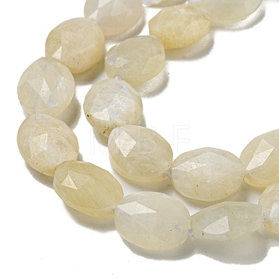 Natural Rainbow Moonstone Beads Strands G-P544-D03-01-1