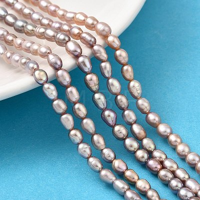 Natural Cultured Freshwater Pearl Beads Strands PEAR-I007-01P-04B-1