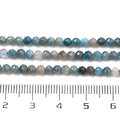 Natural Apatite Beads Strands G-K185-02-3mm-01-1