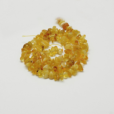 Natural Amber Chip Beads Strands G-E333-01B-1