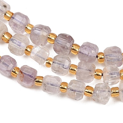 Natural Purple Phantom Quartz/Purple Lodolite Quartz Beads Strands G-Z147-A04-01-1