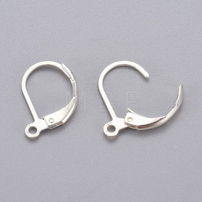 304 Stainless Steel Leverback Earring Findings X-STAS-H434-51S-1