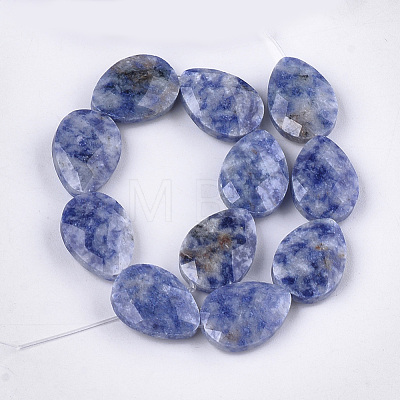 Natural Blue Spot Jasper Beads Strands G-S354-10-1