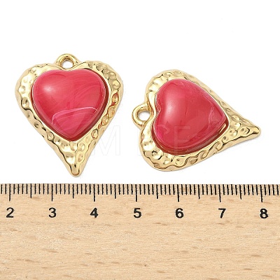 304 Stainless Steel & Resin Pendants STAS-G371-18G-05-1