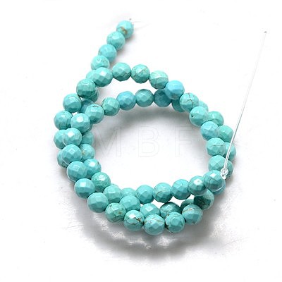 Natural Howlite Round Beads Strands TURQ-L017-6mm-01B-1