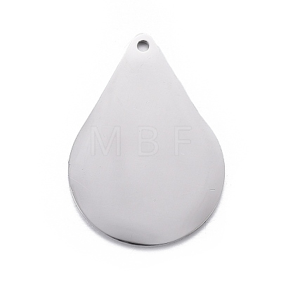 304 Stainless Steel Pendants STAS-F254-10A-P-1