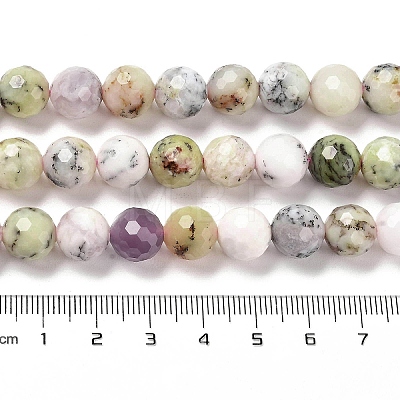 Natural African Opal Beads Strands G-K345-A03-03-1