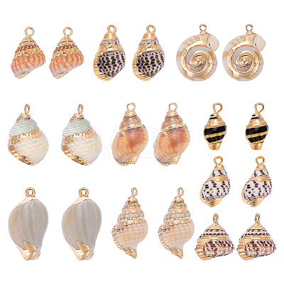 20Pcs 10 Styles Electroplated Natural Mixed Shell Pendants BSHE-GA0001-05-1