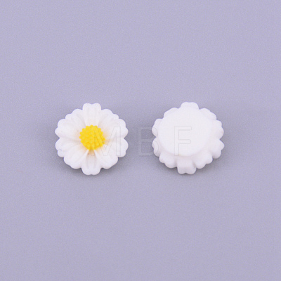 Resin Cabochons RESI-CJC0001-70D-01-1