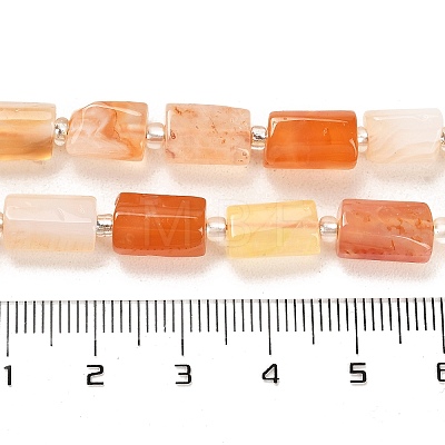 Natural Botswana Agate Beads Strands G-G068-A18-01-1