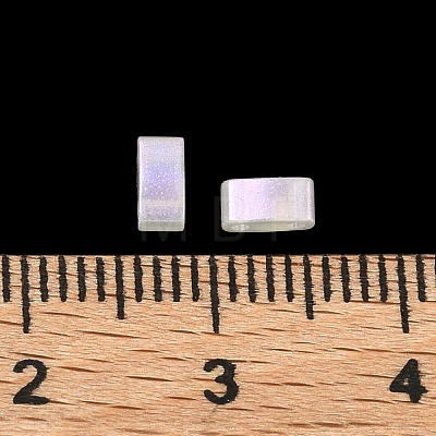 Glass 2-Hole Baking Paint Glass Seed Beads GLAA-G130-01D-1