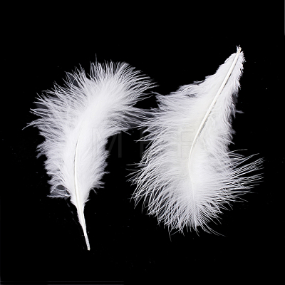 Fashion Feather Costume Accessories FIND-Q040-04S-1