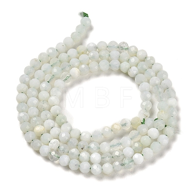 Natural Green Opal Beads Strands G-Z035-A02-02C-1