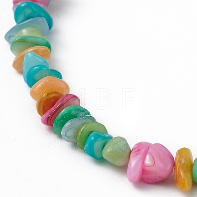 Dyed Natural Freshwater Shell Beads Strands BSHE-G033-05-1