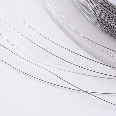 Steel Wire TWIR-E001-0.15mm-1