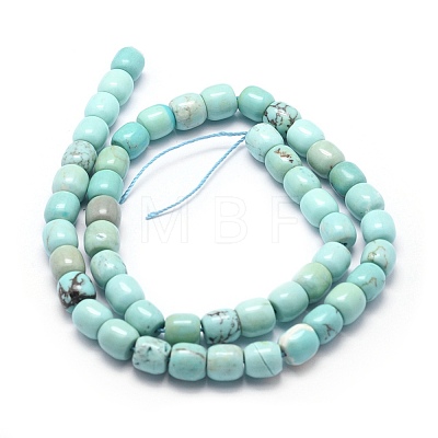 Natural Magnesite Beads Strands G-F578-06-1