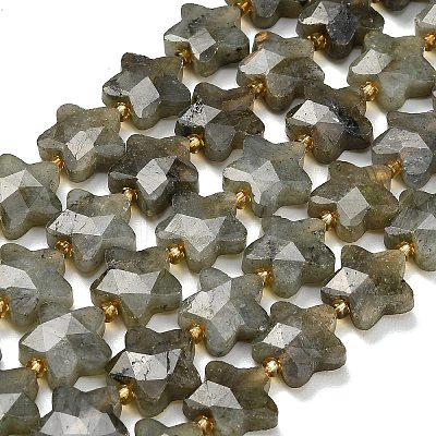 Natural Gray Labradorite Beads Strands G-L657-A02-01-1