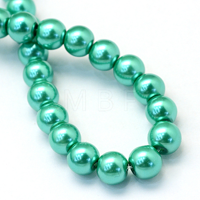 Baking Painted Pearlized Glass Pearl Round Bead Strands HY-Q003-6mm-29-1