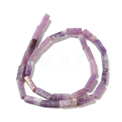 Natural Lepidolite/Purple Mica Stone Beads Strands G-E612-C05-B-1