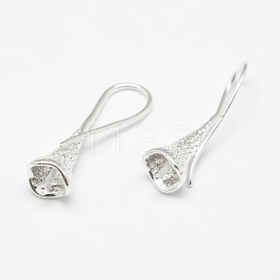 Brass Earring Hooks KK-F714-04S-1