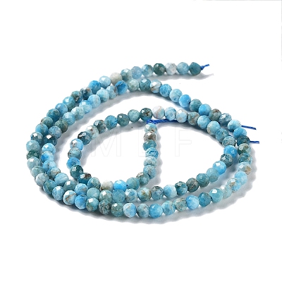 Natural Apatite Beads Strands G-J400-E04-01-1