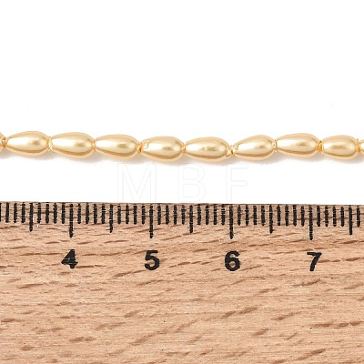 Electroplated Shell Pearl Beads Strands BSHE-C010-01A-1