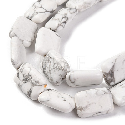 Natural Howlite Beads Strands G-T047-B28-20-1