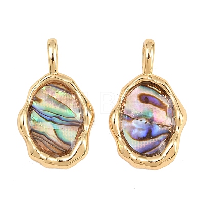 Brass Natural Paua Shell Irregular Pendants KK-I453-01G-02-1