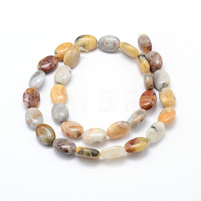 Natural Crazy Agate Flat Oval Bead Strands G-M206-18-1
