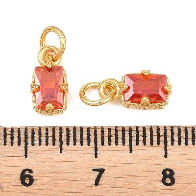 Brass Pave Cubic Zirconia Charms KK-K340-50G-1