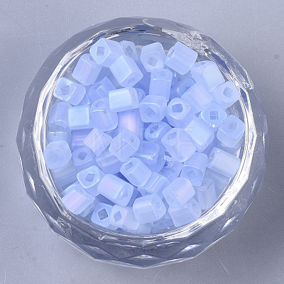 6/0 Transparent Glass Seed Beads SEED-S027-03B-10-1