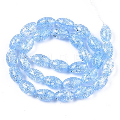 Transparent Crackle Glass Beads Strands GLAA-S192-B-010C-1
