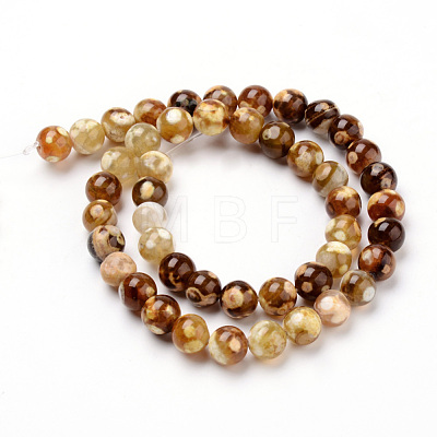 Natural Fire Crackle Agate Beads Strands G-Q462-67-8mm-1