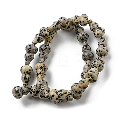 Natural Dalmatian Jasper Beads Strands G-C039-A05-1