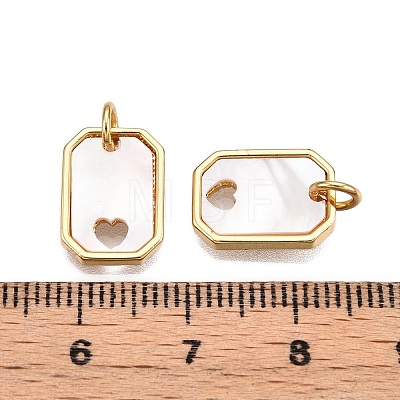 Brass & Shell Charms KK-N254-212G-1