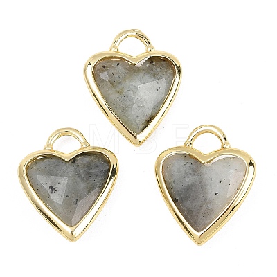 Natural Labradorite Faceted Pendants G-Z154-01G-07-1
