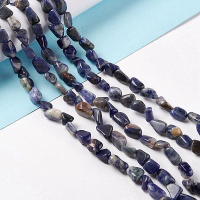 Natural Sodalite Beads Strands G-E115-01-1