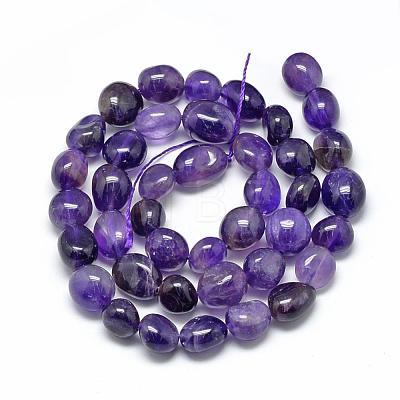 Natural Amethyst Beads Strands G-R445-8x10-03-1