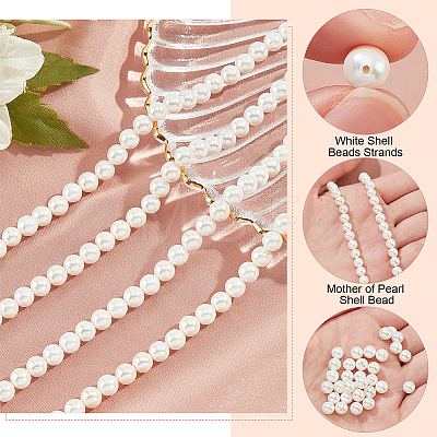 Natural White Shell Beads Strands SHEL-WH0001-009A-1