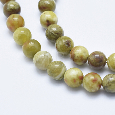 Natural Serpentine Jade Beads Strands G-P353-06-8mm-1