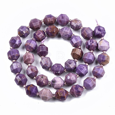 Natural Lepidolite/Purple Mica Stone Beads Strands G-S362-068C-1