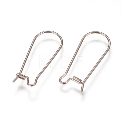 304 Stainless Steel Hoop Earrings Findings Kidney Ear Wires STAS-L216-22B-P-1