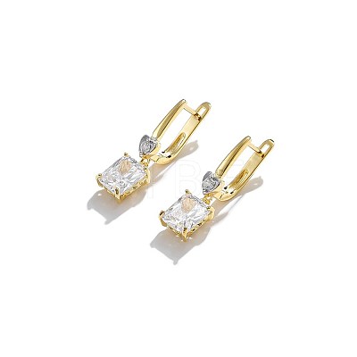 Brass Micro Pave Cubic Zirconia Hoop Earring EJEW-BB36360-1